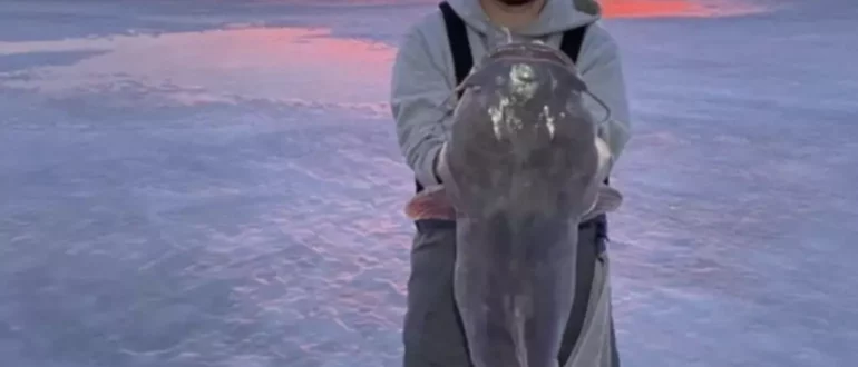 Рыболов из Айовы выловил 34-фунтового сома сквозь лед