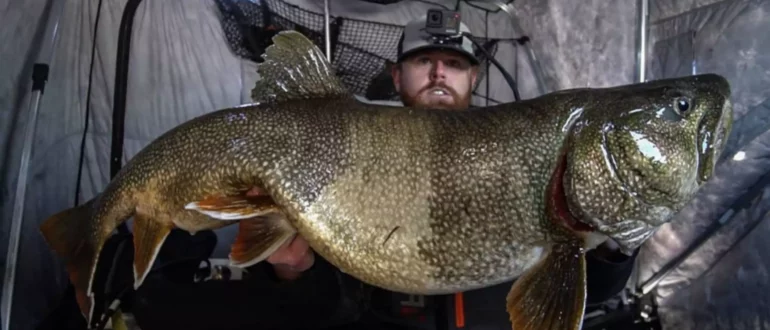 Смотреть: Канадский рыболов ловит абсолютно гигантскую озерную форель сквозь лед
