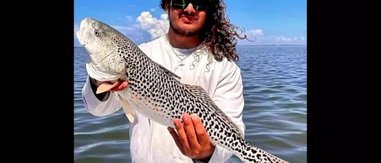 Рыбак поймал редкую "леопардовую красноперку" на побережье Южного Техаса