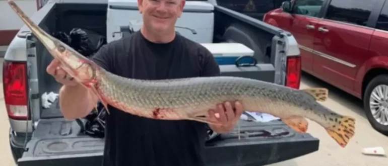 Рыбак-боуфишер поймал рекордную в мире короткорылую рыбу в озере Озаркс штата Миссури
